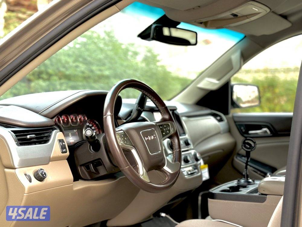 يوكن SLE صبغ الوكالة4