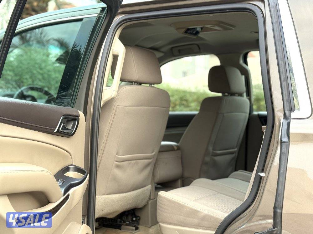 يوكن SLE صبغ الوكالة5