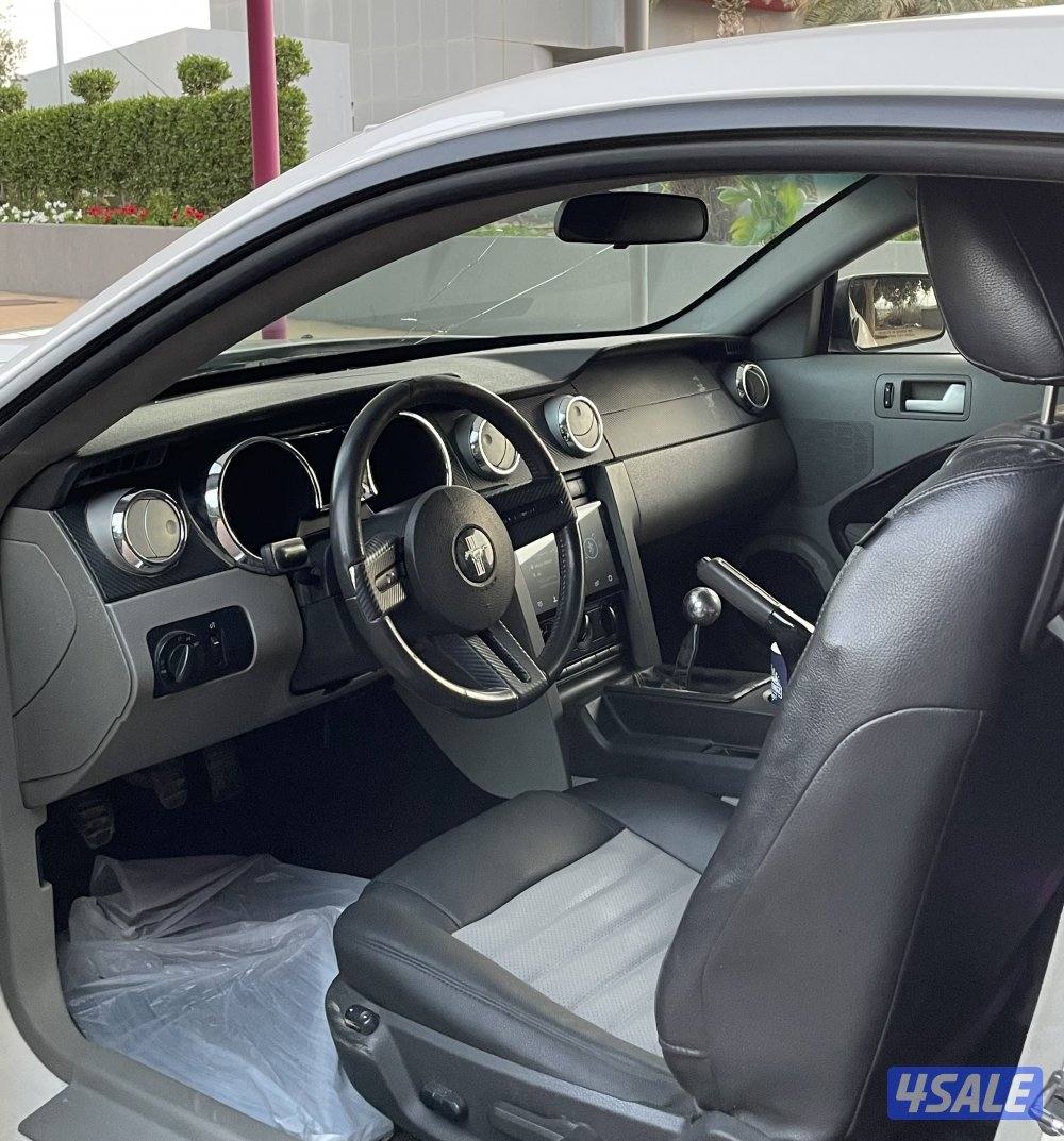 للبيع موستنق سبيشل كالفورنيا اصلي4