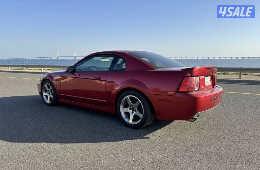 فورد موستنق كوبرا3