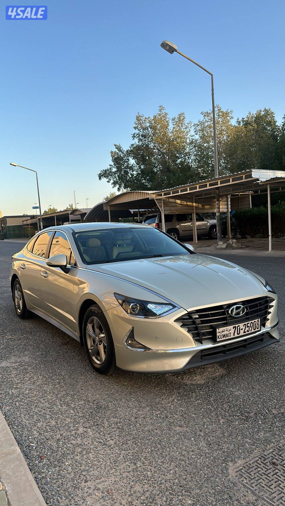 صبغ الوكاله بحالة الوكاله1