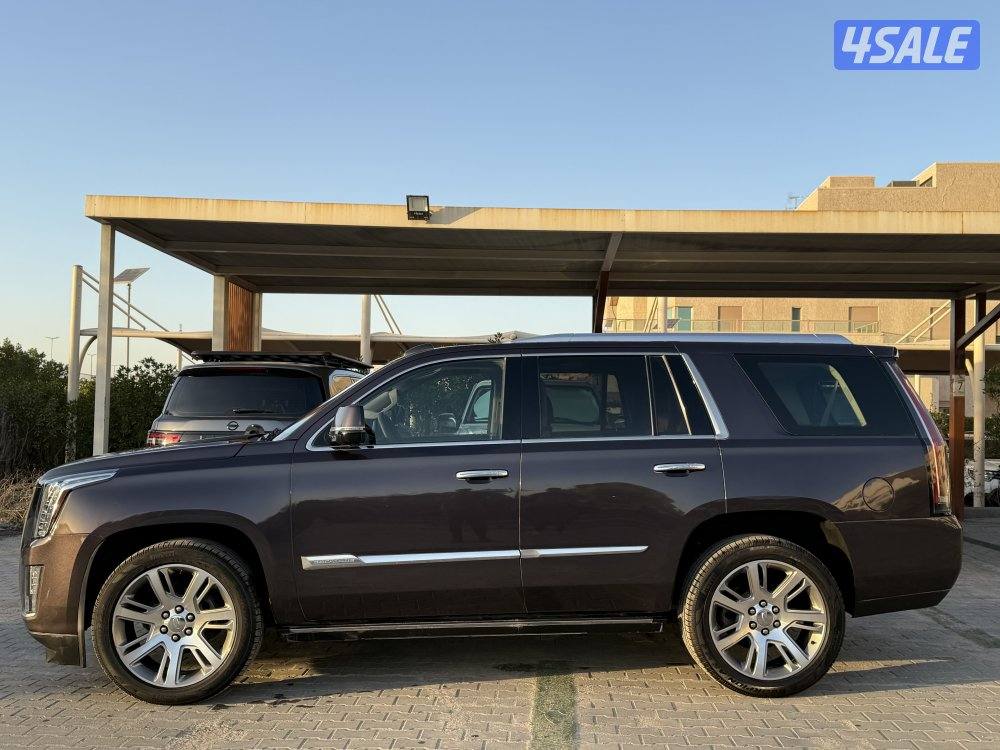 اسكاليد ٢٠١٥1