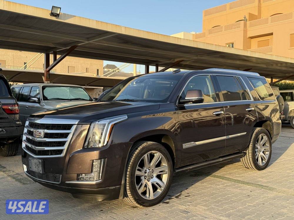 اسكاليد ٢٠١٥2