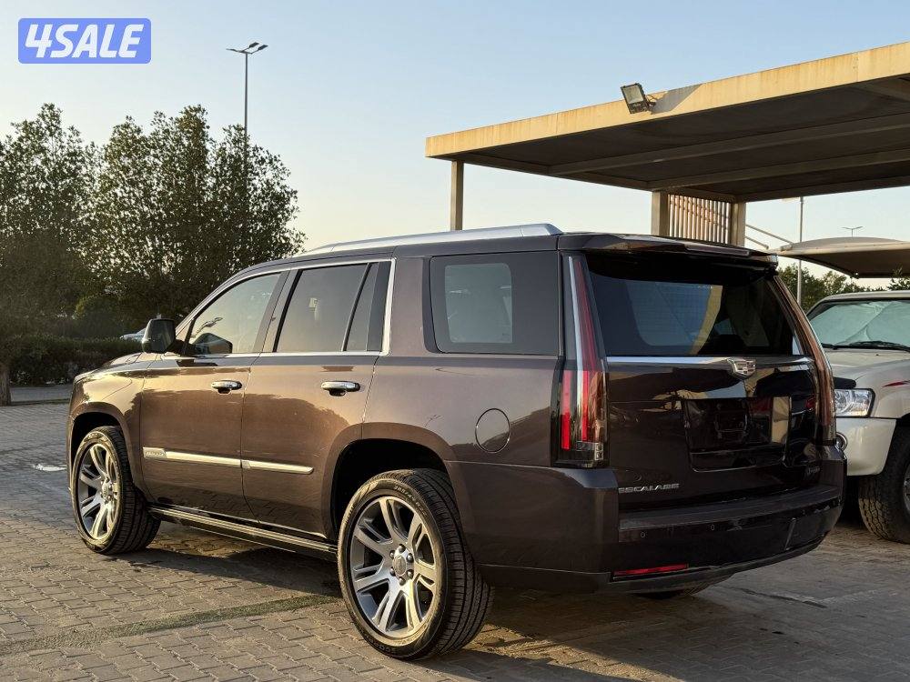 اسكاليد ٢٠١٥3