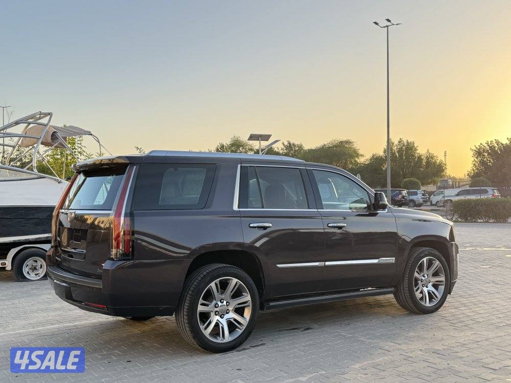 اسكاليد ٢٠١٥4