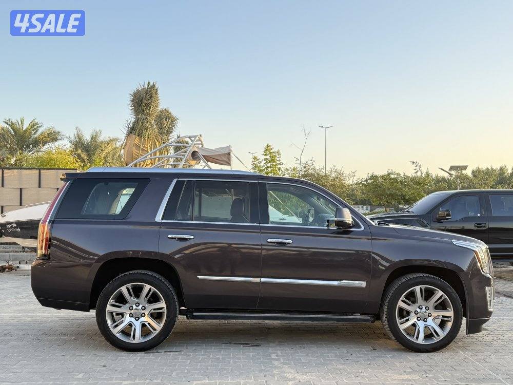 اسكاليد ٢٠١٥5