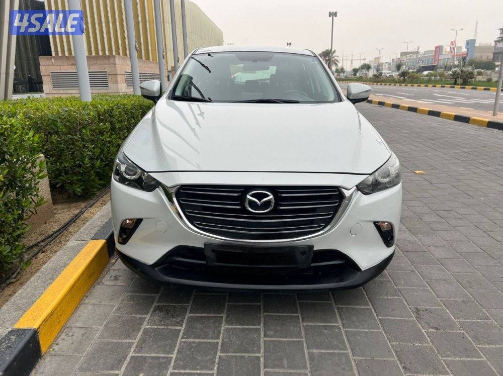 2023 صبغ الوكاله1