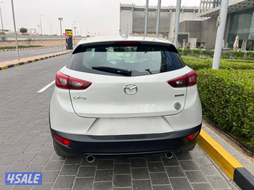 2023 صبغ الوكاله2