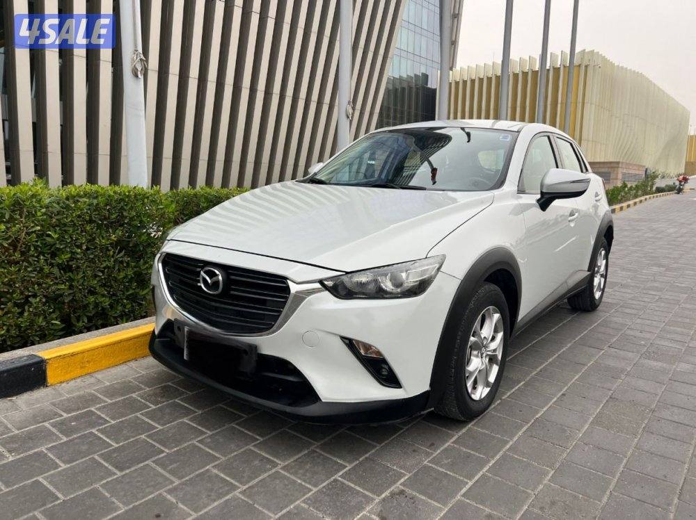 2023 صبغ الوكاله3