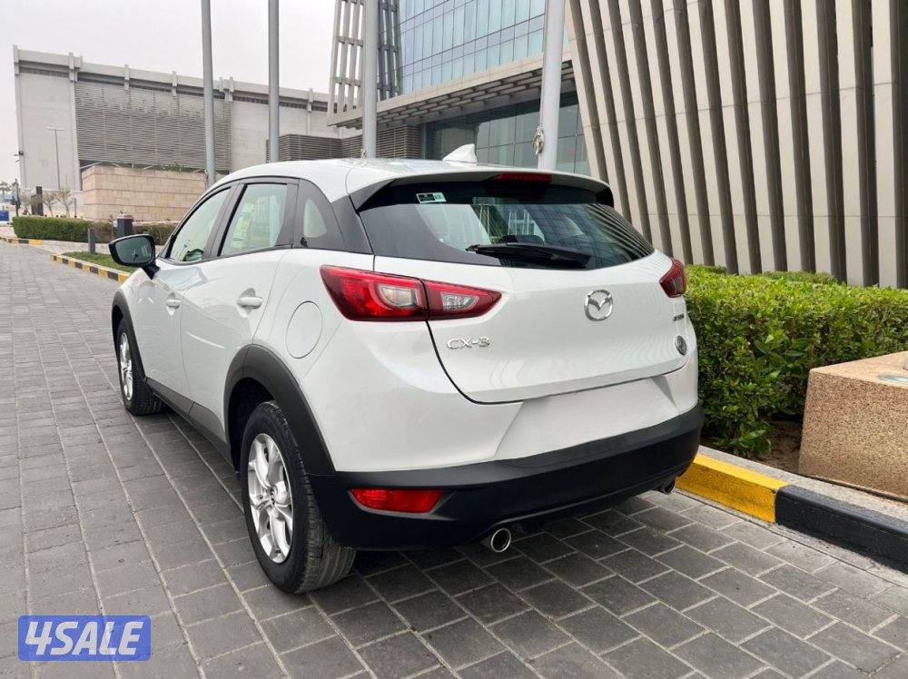 2023 صبغ الوكاله4