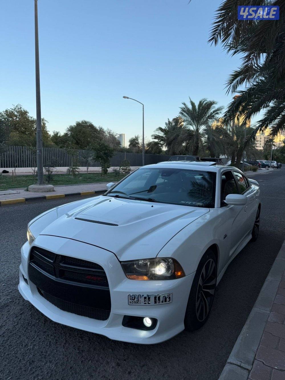 تشارجر SRT 20140