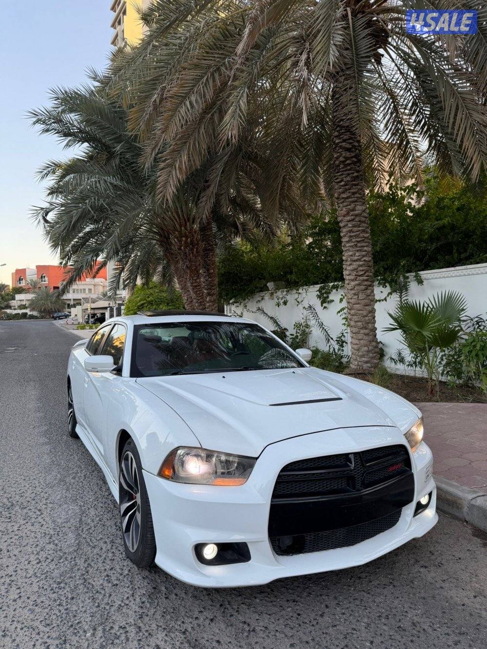 تشارجر SRT 20141