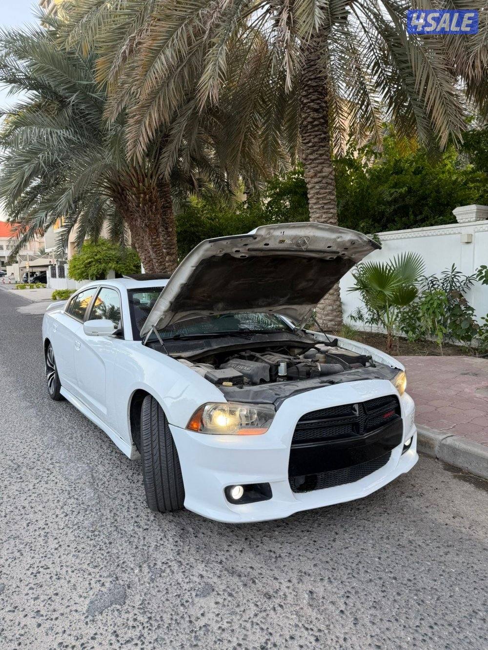 تشارجر SRT 20142