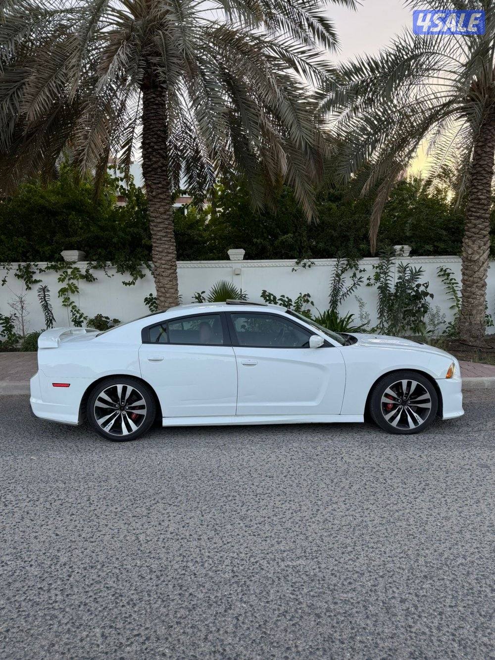 تشارجر SRT 20143