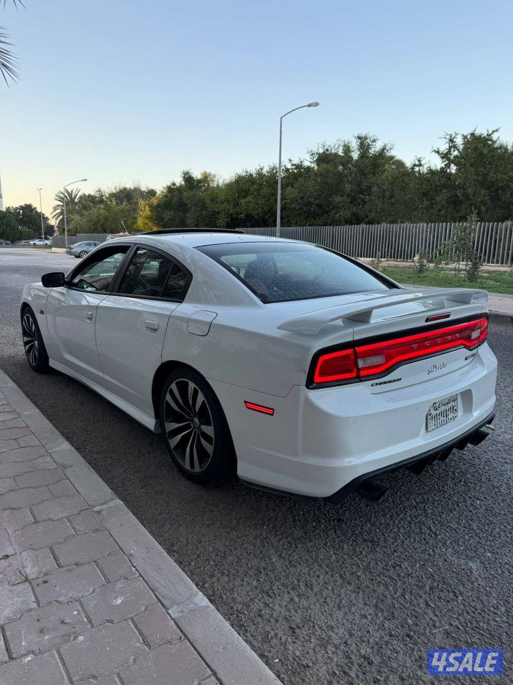 تشارجر SRT 20144