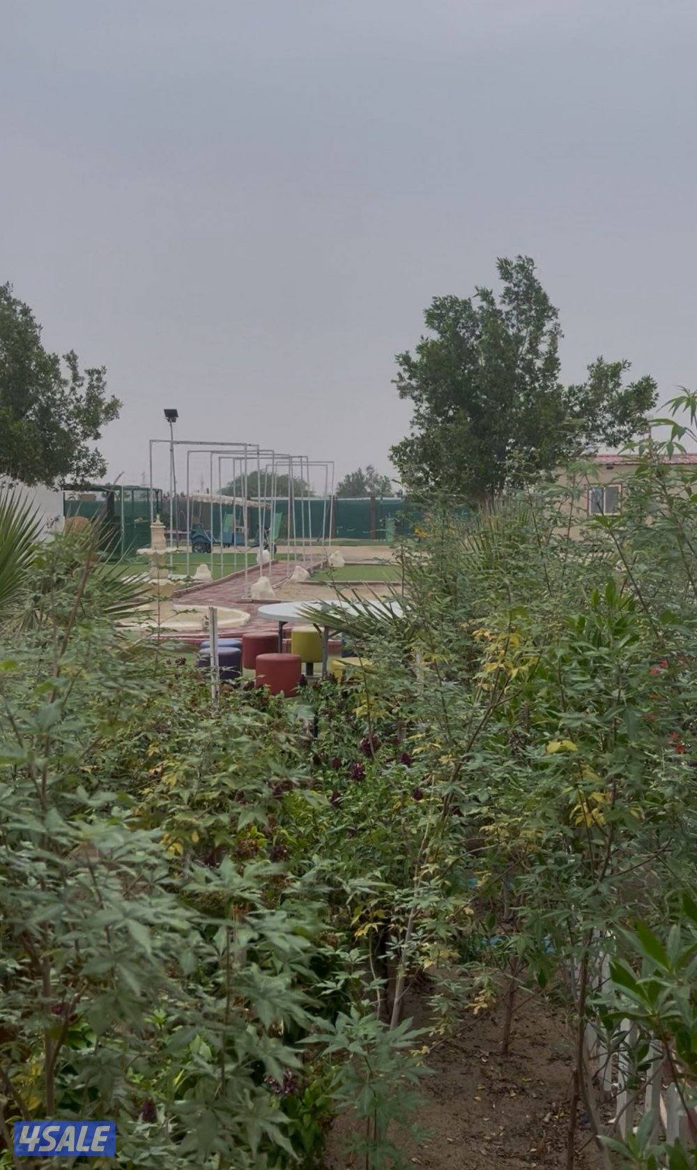 مخيم الاماكن12