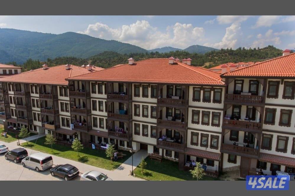 كبري شركات السياحه بالسالميه3