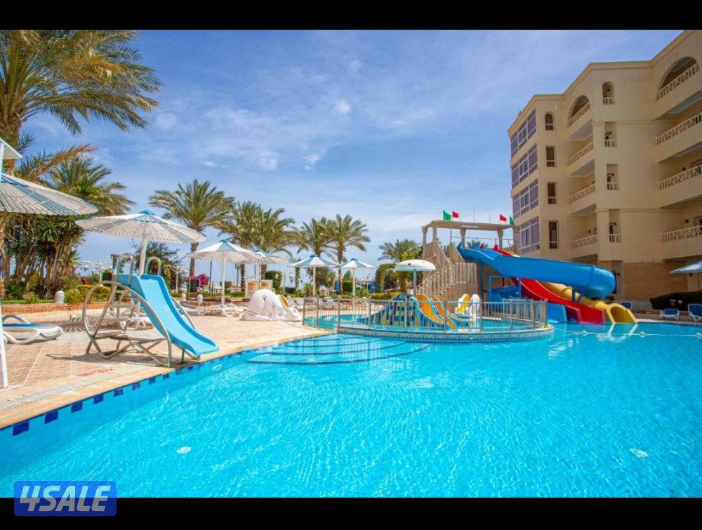 كبري شركات السياحه بالسالميه2