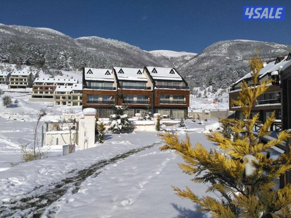 كبري شركات السياحه بالسالميه4