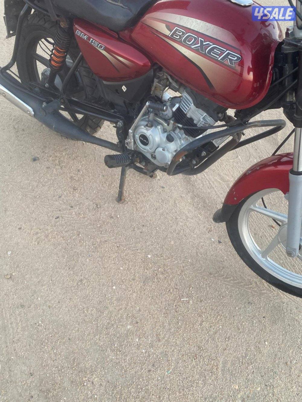 سيكل بوكسر1