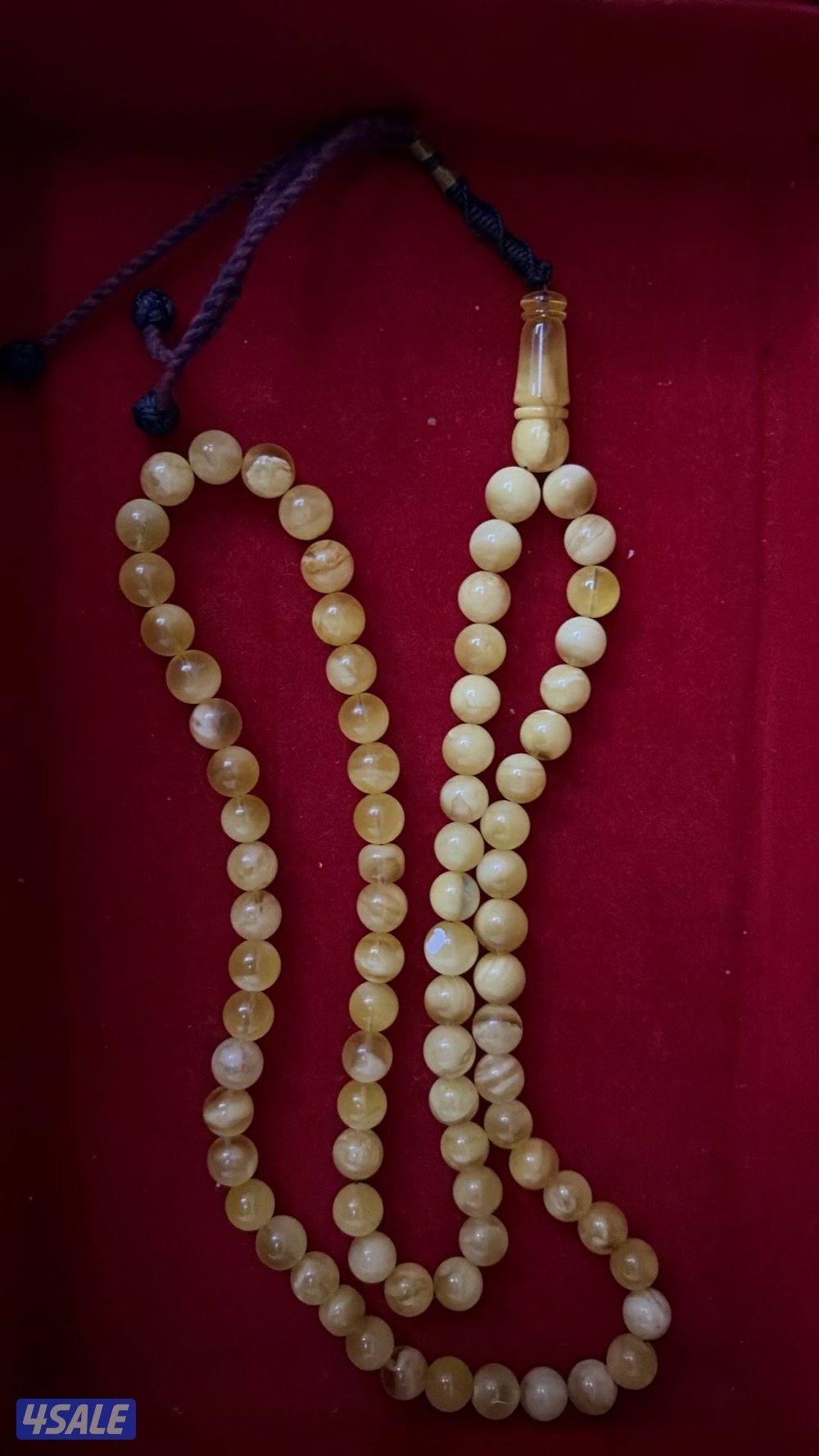 الجهراء سعد العبدالله1