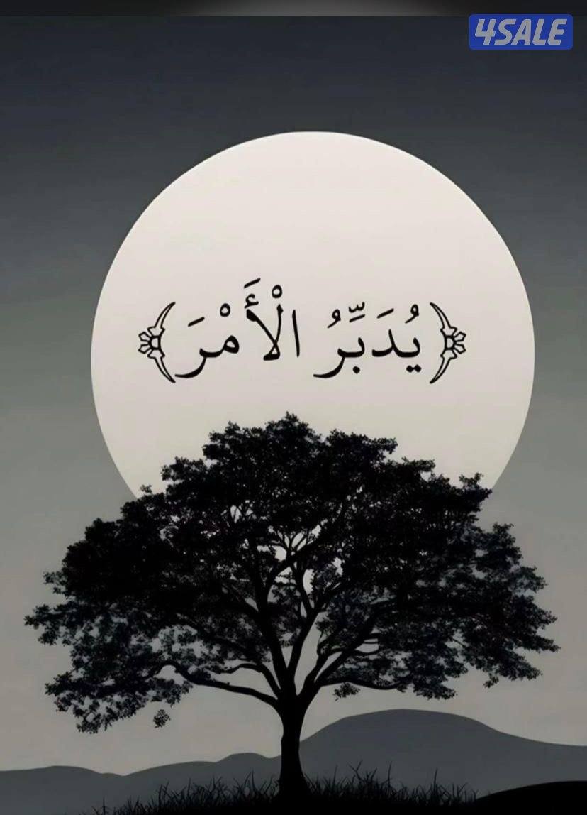 مطلوب جهاز ايفون 17 بالأقساط وكافه الضمانات لموظف0