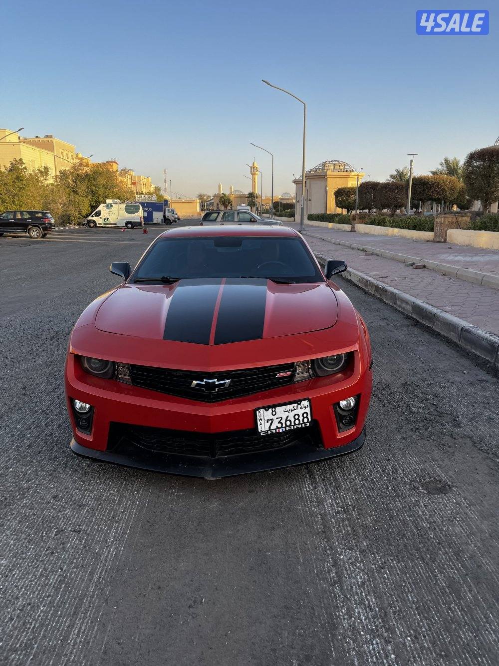 كمارو ss / Ls31