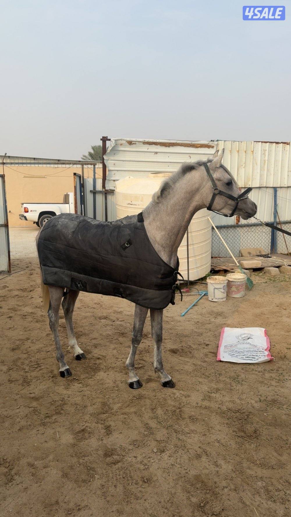 💎 مهر فاخر من الاخر💎2