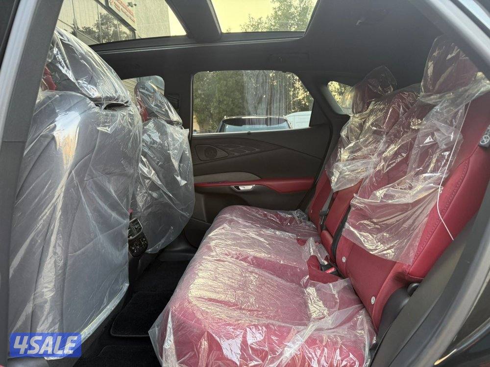 LEXUS RX350 Fsport _2025 اصفار9