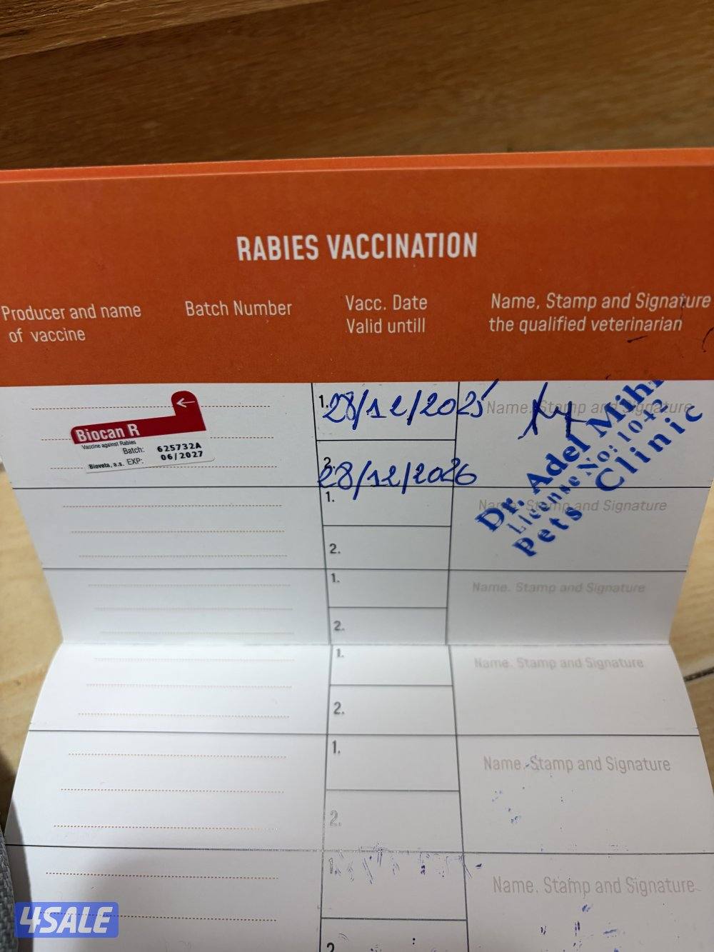 امريكان بولي ذكر فاااخر4