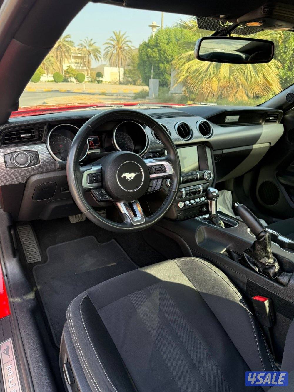 موستنق 2019 للبيع1