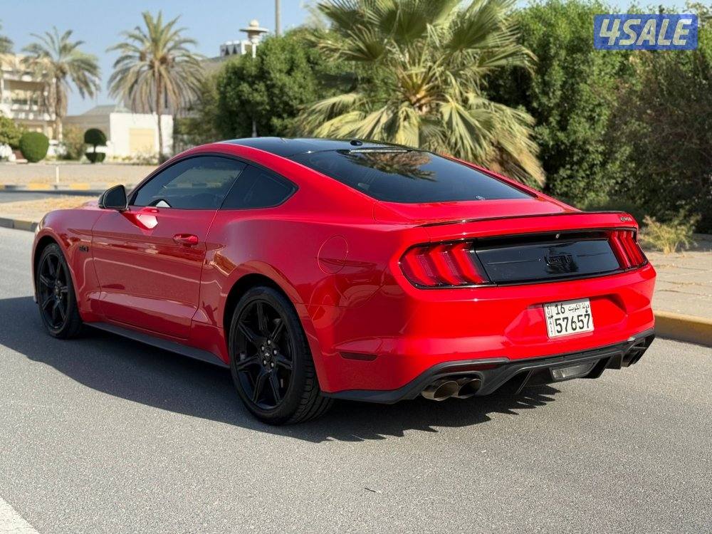 موستنق 2019 للبيع2