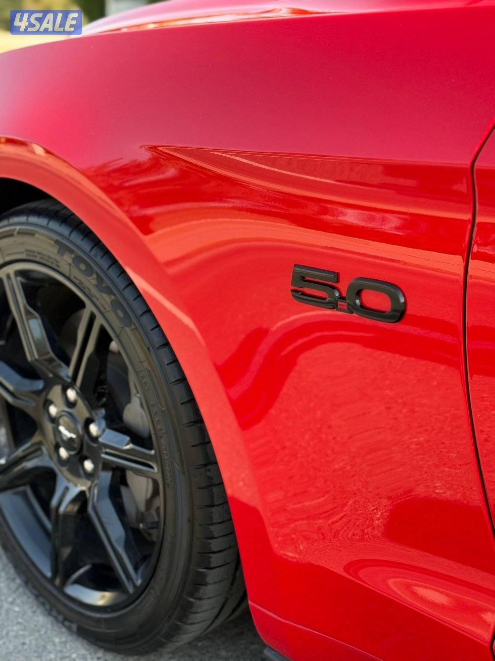 موستنق 2019 للبيع6