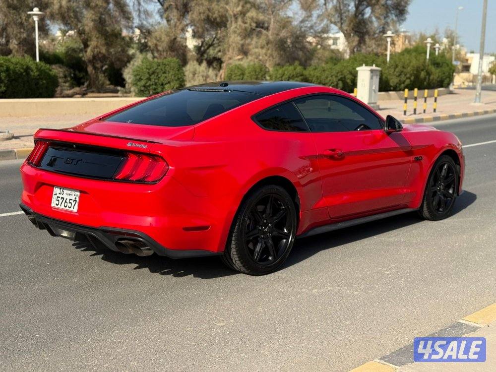 موستنق 2019 للبيع5