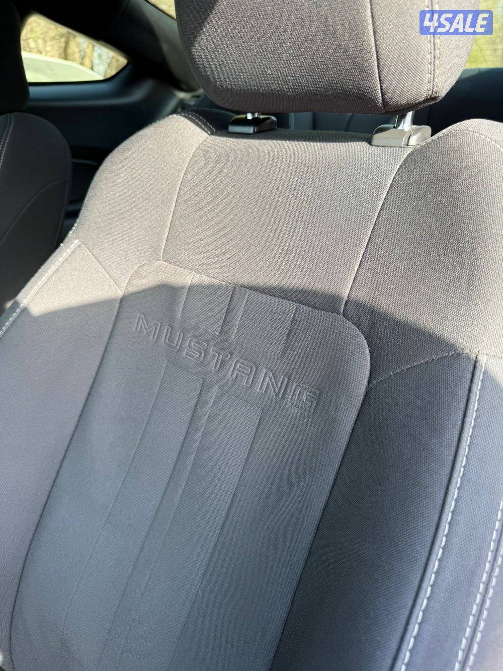 موستنق 2019 للبيع7