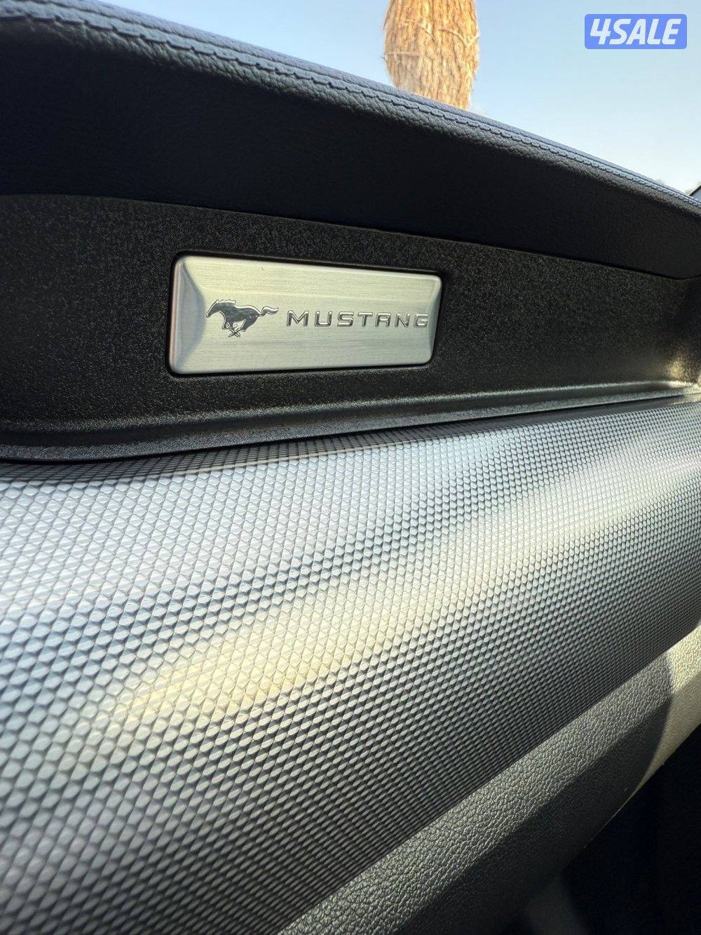 موستنق 2019 للبيع8