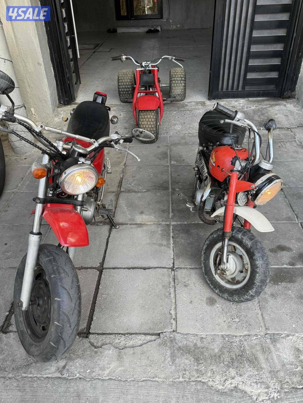 50منكي اصلي0