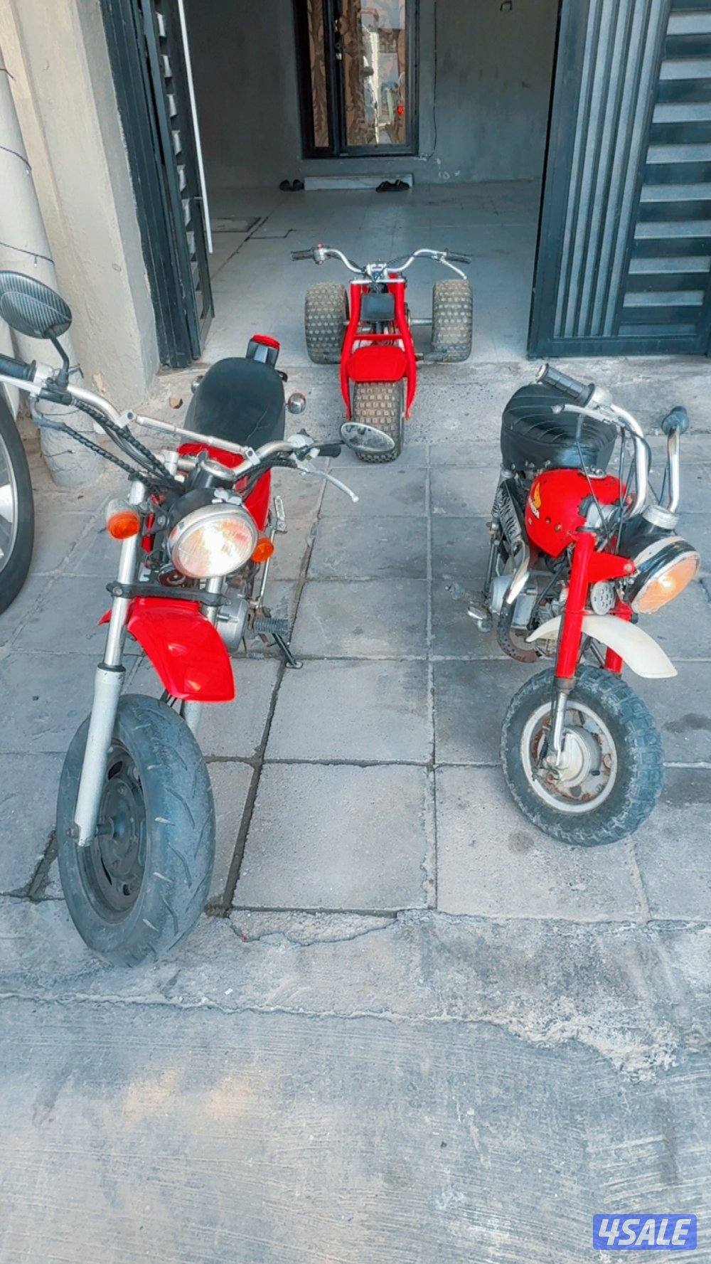 50منكي اصلي5