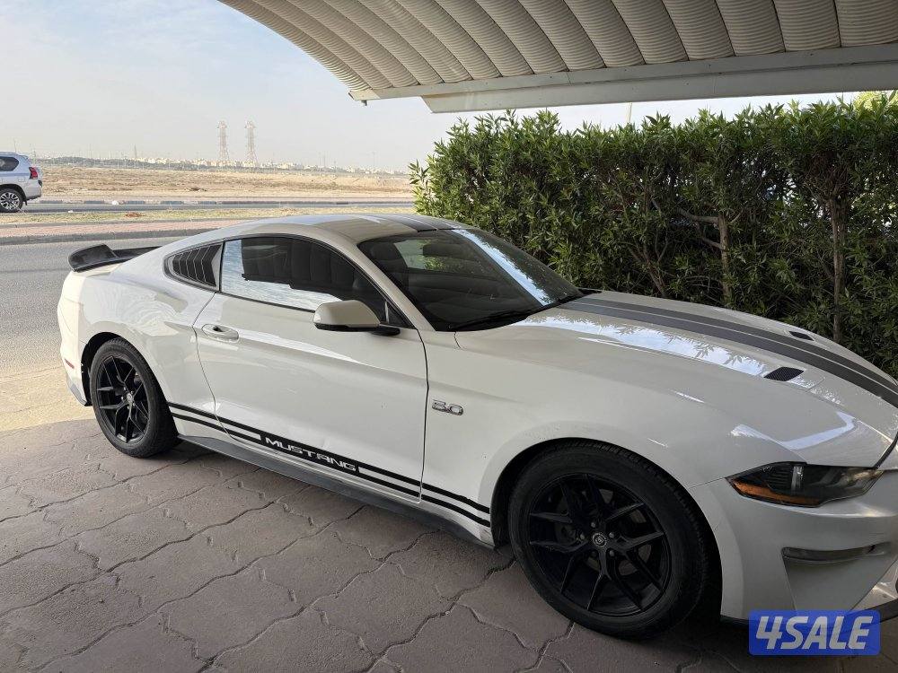 للبيع موستنق ٢٠١٨ تيربو ٤ سلندر ماشي ١٤٠ ميل ستوك4