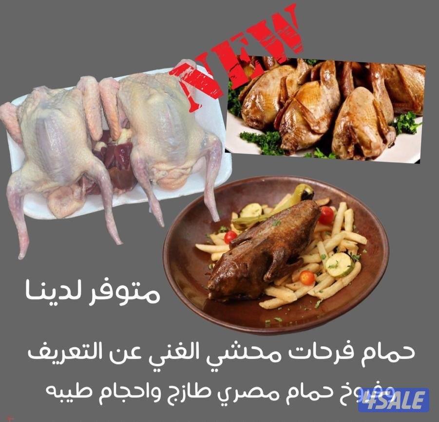 حمام مصري سبيشل0