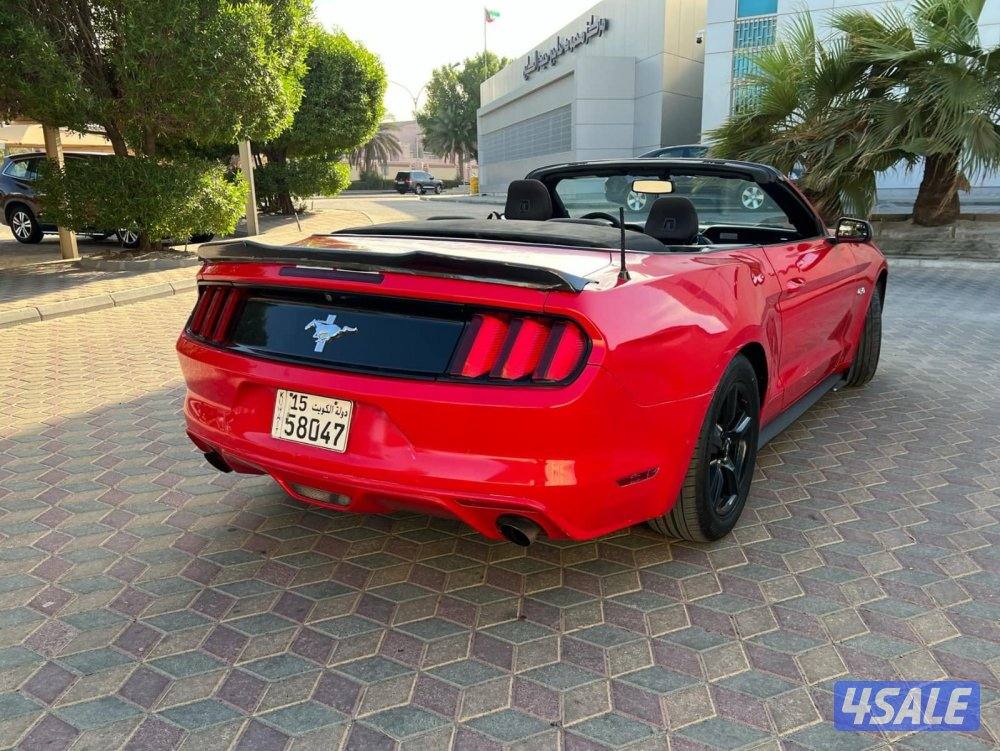 موستنج 2016 كشف 6 سلندر حاله ممتازه بيعه سريعه3