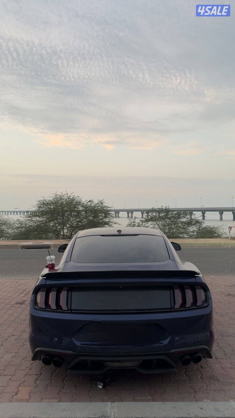 للبيع موستنق1