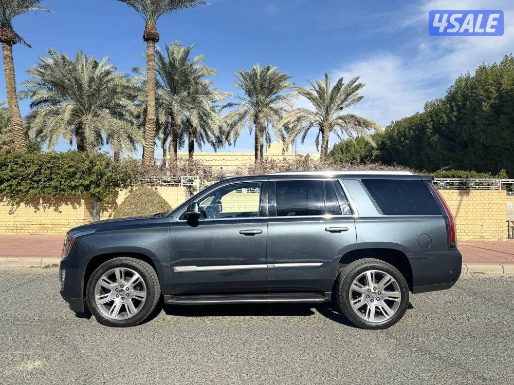 ٢٠١٩ كادليك اسكاليد بحاله الوكاله7