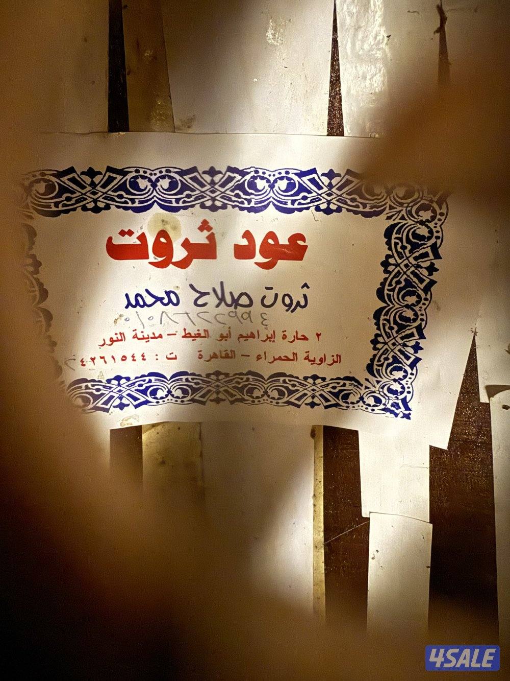 عود مصري قديم - ثروت صلاح محمد1