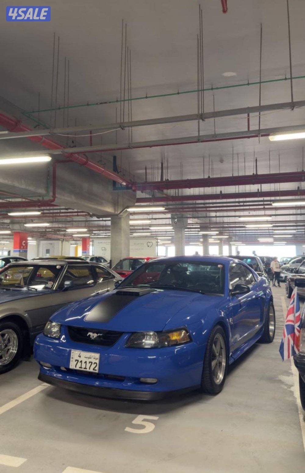 للبيع موستنق ماك ون موديل 2004 صبغ وكاله شرط الفحص بالكامل0