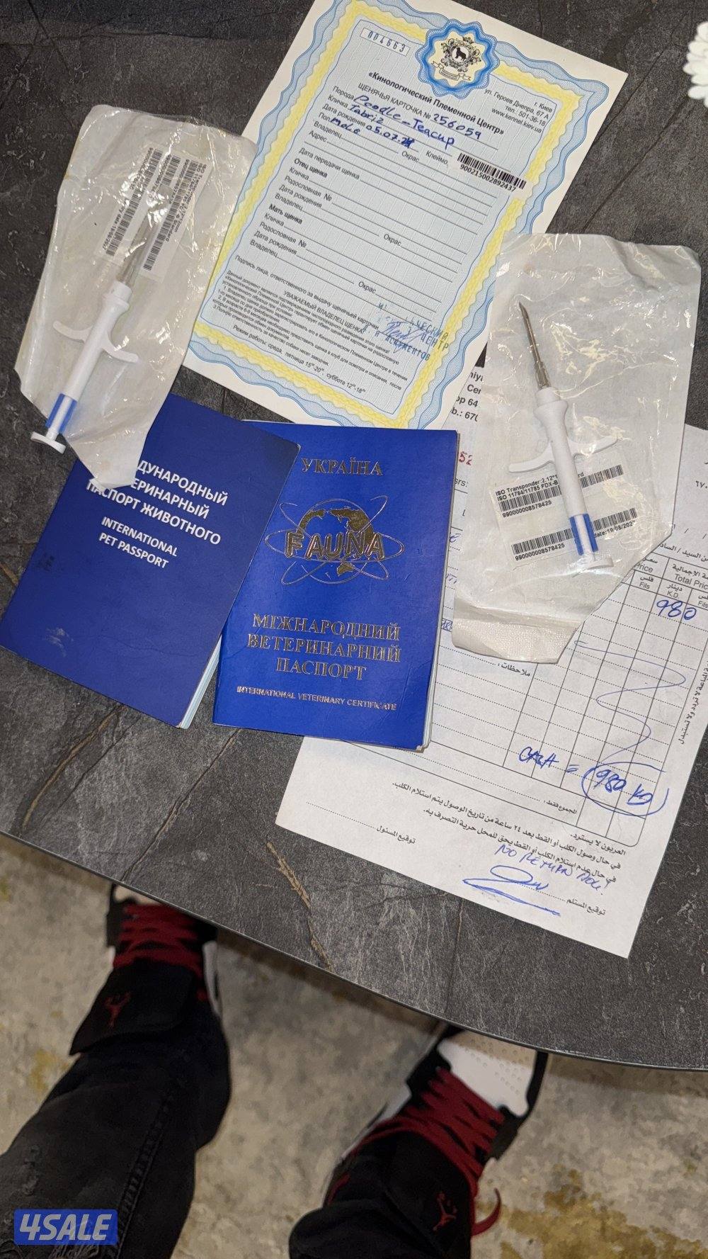 بودل تي كب  هاي كوالتي1