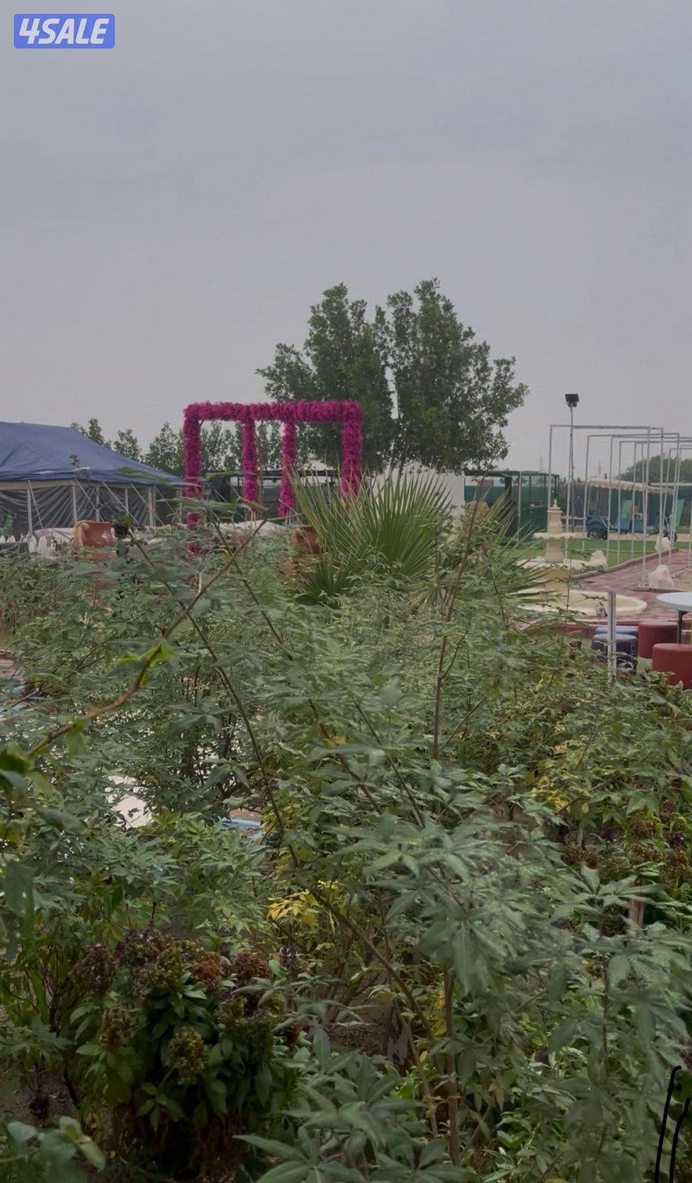 مخيم الاماكن10