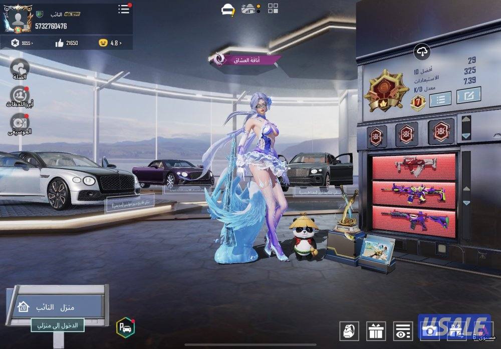 حساب بابجي للبيع حساب كامل متكامل1