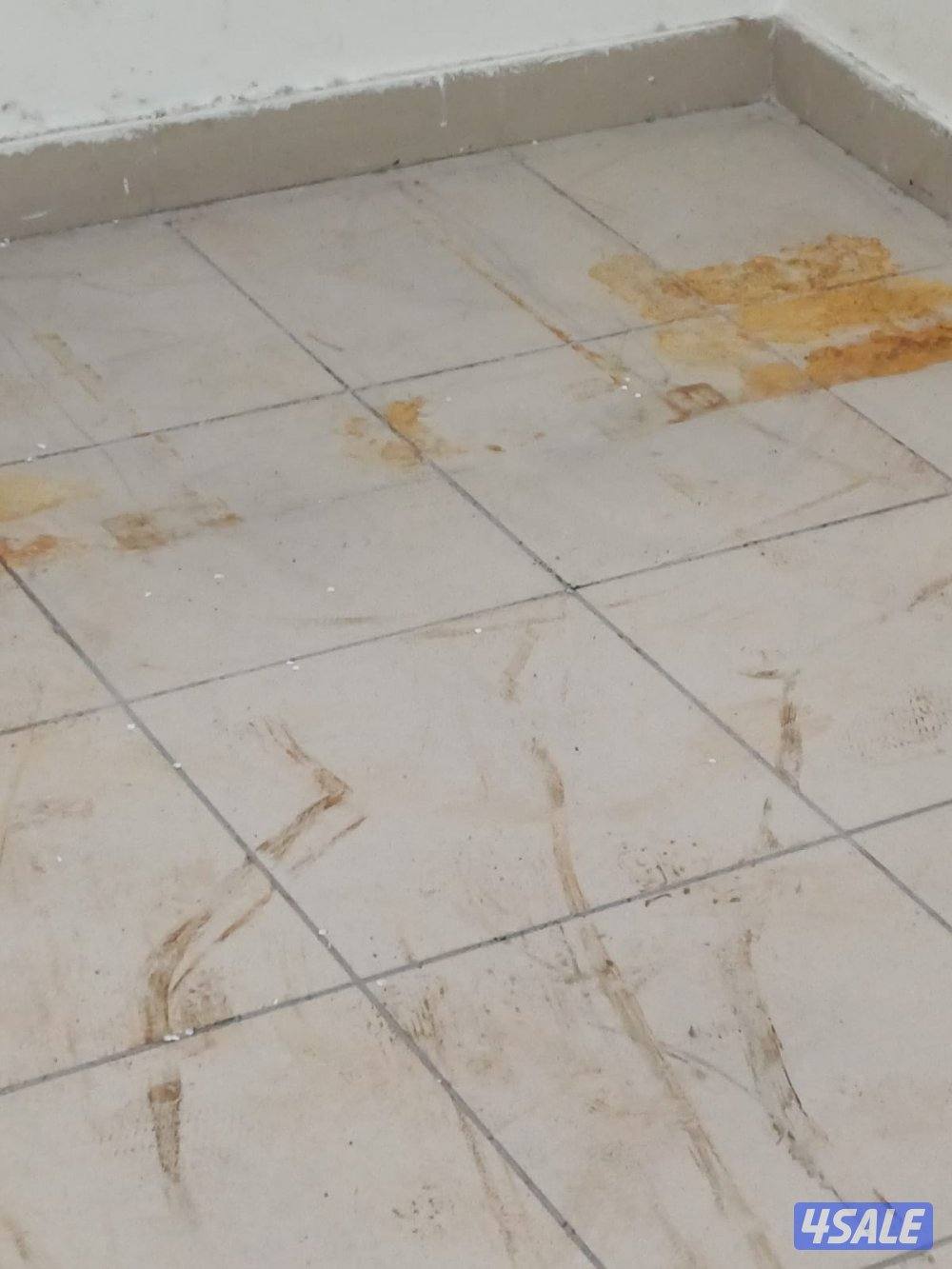 غسيل بالشامبو - تنظيف ناشف - غسيل سجاد برادي - اثاث - كنفات - شقق - فل8