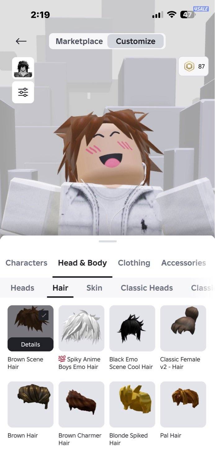 حساب سكنات روبلوكس2